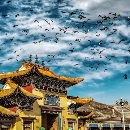 西宁+隆务寺+吾屯下寺+郭麻日古堡（真纯玩|无套路|服务好）