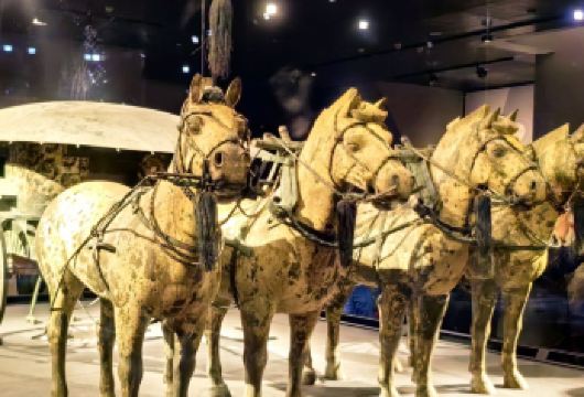 兵马俑+华清宫+千古情/驼铃传奇一日游（家庭团）【赠送兵马俑、华清宫讲解】