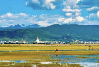 香格里拉：纳帕海+奔子栏+金沙江月亮弯+白马雪山 景点可调G【全程中文/英文/俄语/小语种服务，沟通无障碍，景点可调,多种车型可选】