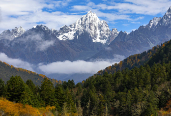 自贡包车地陪导游翻译地接陪同接送旅游展会商务考察陪诊【自贡包车地陪导游翻译地接陪同接送旅游展会商务考察陪诊】