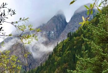 成都往返四姑娘山含门票纯玩一日游可选双桥沟或长坪沟四川旅游【[精品小团]配对蓝牙耳机，保证讲解品质】