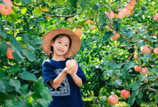 喃哈热带水果采摘园+中科院西双版纳植物园精品小团【[新鲜现摘先吃]体验采摘热带水果的快乐，眼到成熟即可吃，园子热带水果品种“超级多”，可吃到撑！】