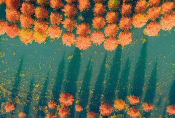 昆明石林风景区+滇池一日游【含午餐+导游+门票】【《双团型随心选》提供纯玩大巴团与 15 人精品小团，前者性价比高全程无购物，后者灵活私密服务更贴心】