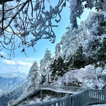 【官方直通车】光雾山旅游景区一日游【汉中高铁站起止】