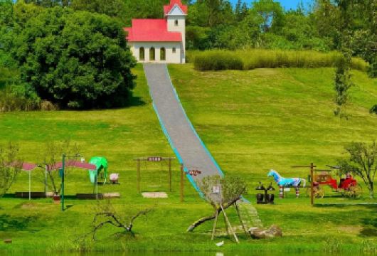 成都老君山+知美术馆+纯阳观公园+新津黄鹤楼包车一日游【景点游玩与车程时间经过精确配比，确保体验深度与舒适度，也可根据需求定制行程】