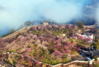 【春节特惠】台州府城赏梅精品小团 临海东湖+江南长城+紫阳街【[缤纷套餐]多套餐可选，老少皆宜！更提供专属定制服务，专属旅游管家随时为您贴心服务！】