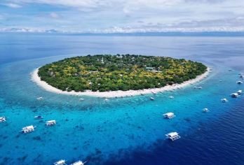 薄荷岛追海豚&巴黎卡萨浮潜&罗博河&巧克力山&眼镜猴&蝴蝶园【体验追逐野生海豚群的乐趣，近距离观赏到海豚跃出海面的自然生态景观，迎着海风与海豚一起分享海上日出！】