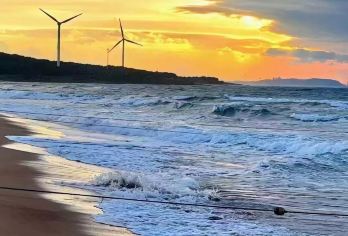 崂山风景区+青山渔村+赶海+太清游览区一日游【上门接+纯玩】【按照人数匹配车子，路线为参考，景点您可以随意选择，我们途中也会做介绍和推荐，】