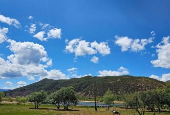 丽江泸沽湖+大落水村+里格岛+小洛水+走婚桥一日游可英文服务【可提供英文及小语种导游服务-往返接送-可选导游-可代订门票】