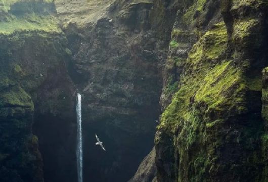 冰岛雷克雅未克-黄金圈+大间歇泉+蓝湖-包车【精选老司机】【包车一日游，解锁旅行新方式！独立车辆配备经验丰富的老司机，为您量身打造专属行程。】