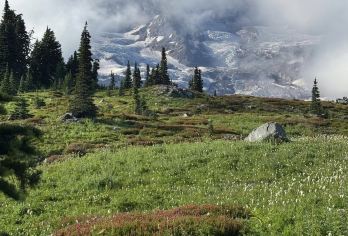 美国+奥林匹克国家公园+探索温带雨林&雪山|中文包车|可定制【中文包车，沟通无碍，深度体验，行程可调 可定制】