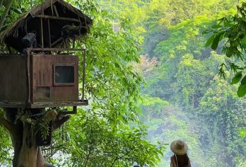 崇左市区+德天瀑布+通灵峡谷 /1日包车游【1单1团+纯玩打卡+含35元德天接驳车+通灵大峡谷首道大门景点门票；】