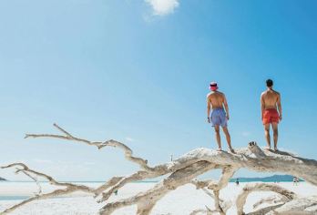 澳大利亚汉密尔顿岛出发白天堂沙滩船去船回一日游/半日游【[景色]白天堂沙滩美景与世隔绝叹为观止】