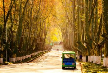 优选小团！总统府+音乐台+中山陵+美龄宫~读懂南京六朝与民国【寻迹中山陵，登 392 级石阶，远眺钟山风光，感受历史庄严肃穆】