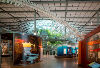 【旧金山中文包车】贝克海滩+金门公园+嬉皮士区+加州科学院【[包车10小时中文服务]-只包车-不拼车-不组团-下单后一对一专属客服服务】