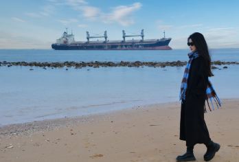 【精品2-8人团】布鲁维斯+天鹅湖等景点打卡/也可包车一日游【下单即送海鸥食，天鹅食，沉船氛围感拍照道具使用】