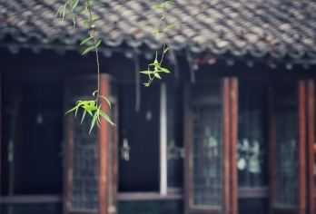 苏州到乌镇东栅日游（含车+导游+门票）纯玩无负担【跨城无忧，一站式服务（从苏州古酒店接起，到乌镇游玩，免换乘烦恼）】