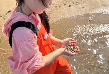 陵水新村猴岛趣味赶海 提供赶海服+工具 海淘海胆海星贝壳【亲子游佳选 带上宝宝感受大自然】