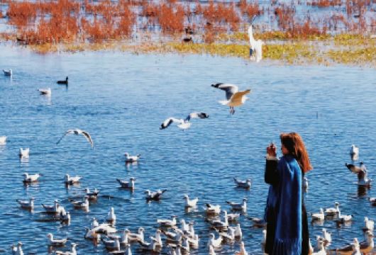 丽江包车1日游+湿地田园主题+龙女湖+文海+打渔村【[秘境寻踪·湖光山色]邂逅纯净的龙女湖与原始的文海草甸】