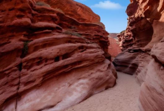 张掖七彩丹霞+马蹄寺一日游丨丹霞看日落+千佛洞+多个接送点【正规旅游大巴，带领队】