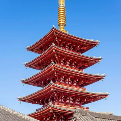 东京一日游 浅草寺+东京塔+足利花卉公园百年紫藤花+紫藤夜景