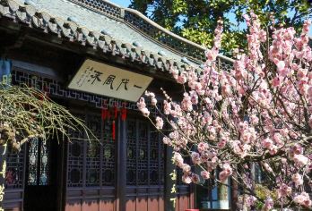 灵山胜境+灵山大佛+梅园【10小时vip服务】