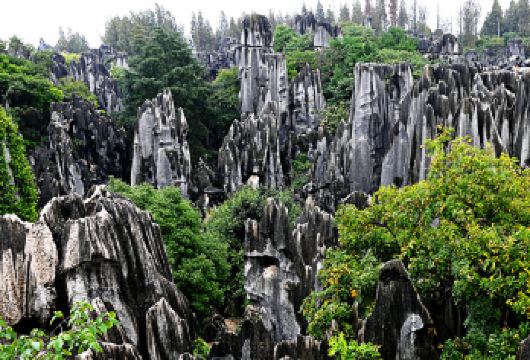 张家界国家森林公园阿凡达山一日游【“阿凡达悬浮山”——袁家界 观赏电影《阿凡达》取景地——哈利路亚山，奇峰林立、云雾缭绕，如同置身】