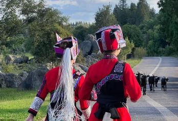 【纯玩·休闲游】石林一日游【云南旅游5A 景点石林-感受几亿年的海底世界。】