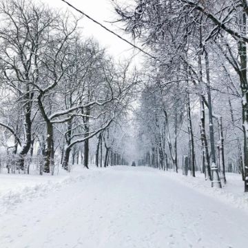 俄罗斯莫斯科-金环小镇-谢尔盖圣三一修道院-私享定制游