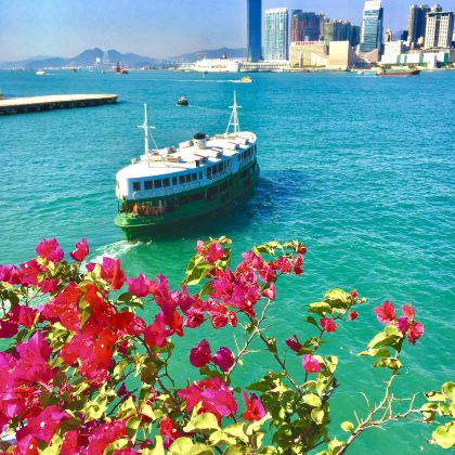 【赠上网卡】香港一日游+可选叮叮车+咨询再减+船游维港+夜景