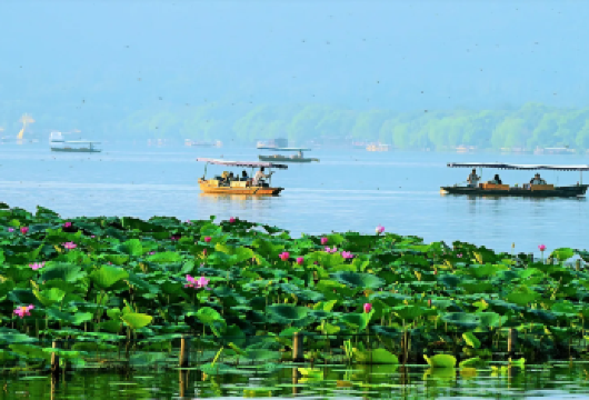 【杭州包车一日游】西湖游船+六和塔+杭州龙井茶园+清河坊街【纯玩儿，定制专车出行，行程自由】