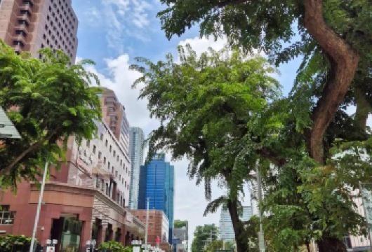 【新加坡一日游】乌节路+鱼尾狮公园+金沙购物广场+圣淘沙【包车成团，畅游赤道明珠，体验魅力南洋】