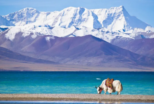 【拉萨起止】纳木错跟团一日游（2-8人布达拉宫3公里内可接）【[服务保障]经验丰富的当地司机兼领队，熟悉路况与景点】