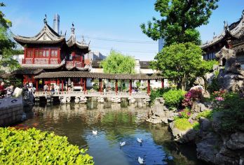 中国杭州精品一日游：乌镇+NPC小镇T多语种导游可选｜亲子游【专业行程规划，一天内串联文化与水乡古镇，交通无缝衔接，省去辗转烦恼。】