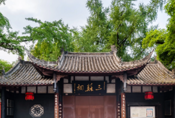 乐山大佛+三苏祠一日游【包车游+含门票+2-8人纯玩随心游】【[专业服务团队]专注四川历史景点+真纯玩+无购物+0套路+0推销】