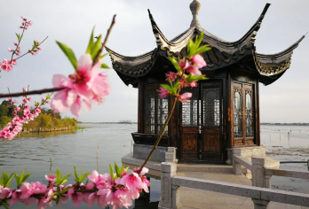 上海包车：苏州锦溪古镇+同里古镇【锦溪秋行，赏秋时分】【全程私人专车服务，不拼团，行程灵活可调整。】