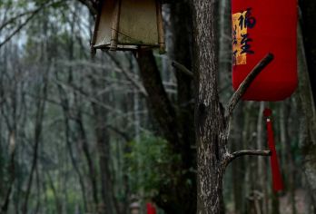 浙江衢州龙游石窟+龙游民居苑+烂柯山一日游可英文服务400【可提供英文及小语种导游服务-往返接送-可选导游-可代订门票】