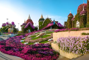 迪拜：奇迹花园和环球村门票（含接送服务）【参观迪拜著名的花园，拥有 5000 万朵鲜花和 2.5 亿株植物 漫步在蓝精灵村，那里有著名的蓝色生物和蘑菇屋 在地球村见证主题活动、节日和壮观的烟花】