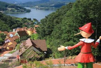 韩国南怡岛+小法国或义大利村+铁轨自行车+早晨宁静花园一日游【南怡岛: 韩剧《冬季恋歌》取景地，四季皆美，有银杏大道、骑行小路与湖边美景，浪漫又放松。】