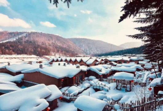 亚布力雪乡游玩往返一日游【时间自由，当天往返，亚布力雪乡两地美景畅享】