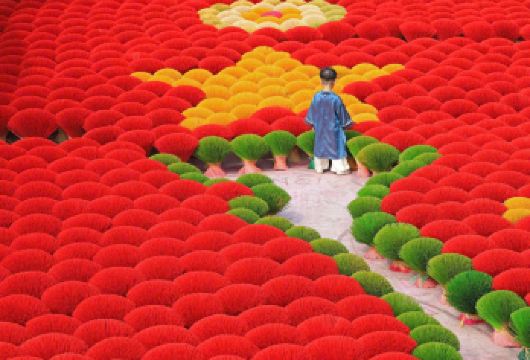 河内文化遗产一日游【广富桥香炉村 – 章斗帽村…】【参观光富桥村，该村已有100多年的制香历史。 前往以制作锥形帽工艺而闻名的章村，该村已有 300 多年的历史。 尽情享用地道的越南籍美食】