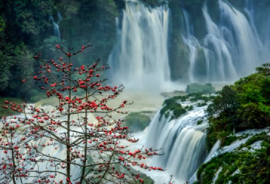 崇左德天跨国瀑布+明仕田园/峒那屿湾一日游【小团/包团】【[真纯玩]绝无购物店，行程公开、透明、清晰，绝无套路！绝无任何强制性消费！】