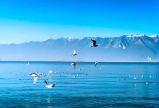 上门接送+大理环洱海包车一日游+5/7/9座车可选+独立成团【360°环洱海一周，私家团，独立成团行程自由，】