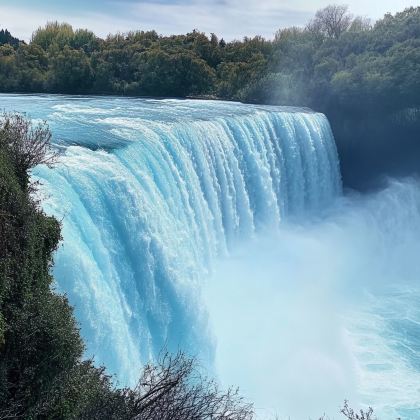 阿尔法团~新西兰奥克兰往返一日游【蓝泉、胡卡、地热、陶波】
