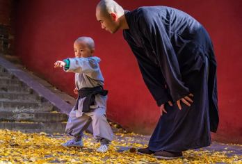 河南登封少林寺半日游【精品小团赏武术表演◆导游精讲市区接送】【[精心安排]保证天天发团，洛阳市区酒店上门接，返程送回应天门遗址或者洛阳西工火车站；】