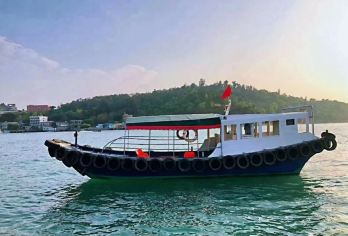 双月湾快艇包船出海 海钓/夜钓/捕鱼 鱼饵渔具 一价全包【·免费提供所需设备现场无任何二次消费】