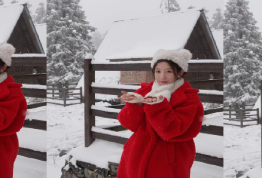 重庆仙女山国家森林公园一日游【2-8人小团.【专注服务，安全第一，正规车辆，司机兼职向导，线路自由】