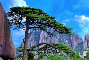 【大同包车游】云冈石窟+悬空寺+恒山1日【上门接送·不限时】【[景区不限时·无限畅玩]：无超时费困扰，舒心自在，时间自由】