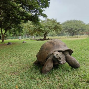 毛里求斯+卡塞拉自然公园+七色土一日游【包车游 门票自理】
