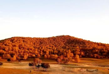 木兰围场+塞罕坝林海+乌兰布统草原包车一日游【门票全含】【品质承诺 精致打造 好评如潮 贵宾体验 随走随停随拍 体验不一样的旅行 小车出行 赠送旅意险】